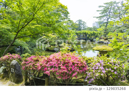 新潟県　白山神社　白山公園 129835268
