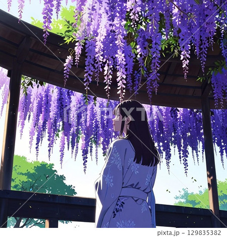 美しい藤の花と女性 美しい藤の花と女性 129835382