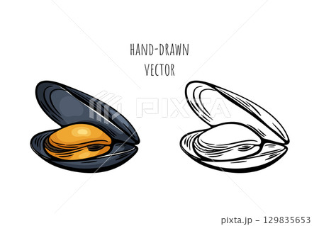 Mediterranean seafood mussel sketch in color and line art 129835653