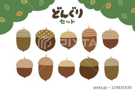 帽子に柄が入ってる森のドングリのイラストセット 129835830