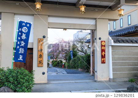 京都 春の神泉苑 御幸門 (京都府京都市中京区) 129836201