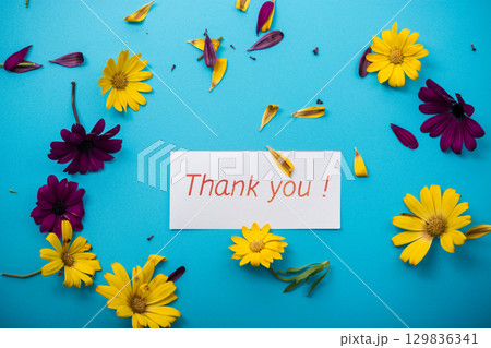 Petals and bright flowers on a blue background 129836341