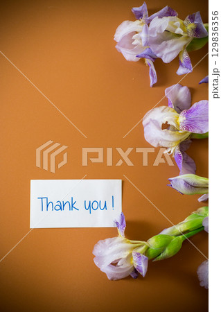 Iris flowers with lilac petals on a brown background Iris flowers with lilac petals on a brown background 129836356