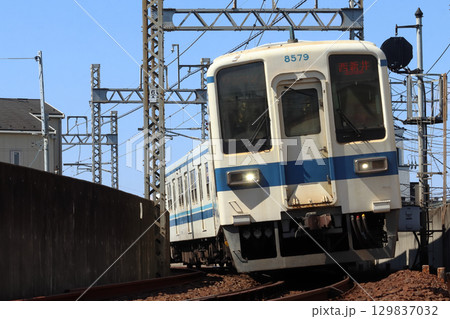 ［TS］東武大師線8000系電車（ワンマン運転：西新井⇔大師前） 129837032