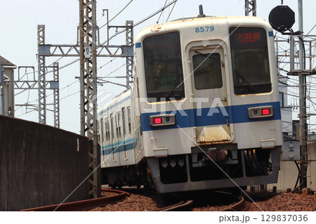 ［TS］東武大師線8000系電車（ワンマン運転：西新井⇔大師前） 129837036