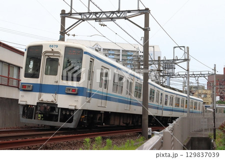 ［TS］東武大師線8000系電車（ワンマン運転：西新井⇔大師前） 129837039