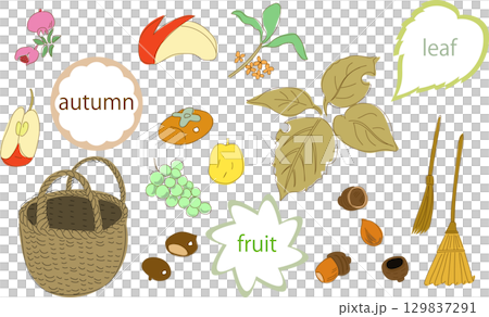 Set illustration of autumn fruits and acorns 129837291