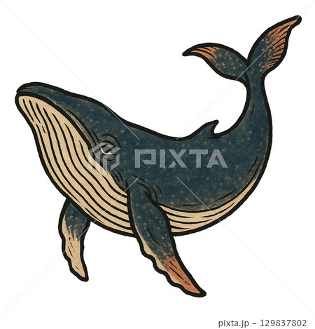 和風の水彩画のレトロなクジラの絵のイラスト素材 [129837802] - PIXTA