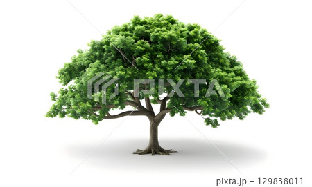 Lush Green Tree Icon Representing Environmental Care and Nature Conservation 129838011