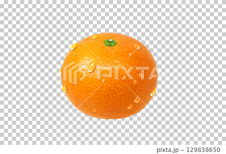 橘子插畫逼真的橘子 129838650