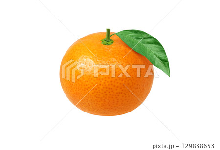 みかん イラスト リアル ミカン 129838653