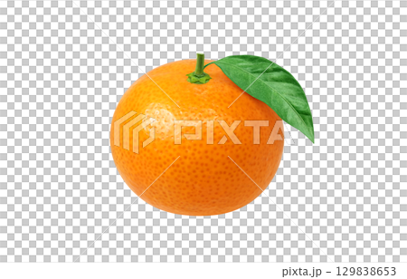 みかん イラスト リアル ミカン 129838653