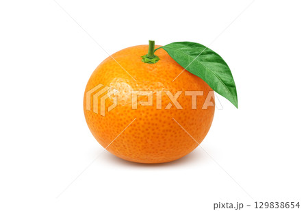 みかん イラスト リアル ミカン 129838654
