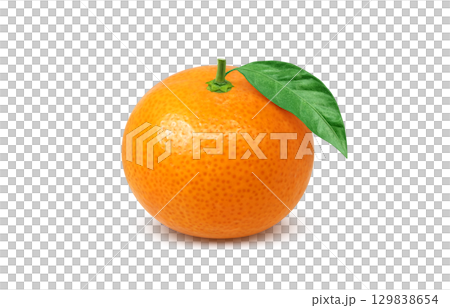 橘子插畫逼真的橘子 129838654