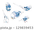 リアル風セキセイインコのイラスト 129839453