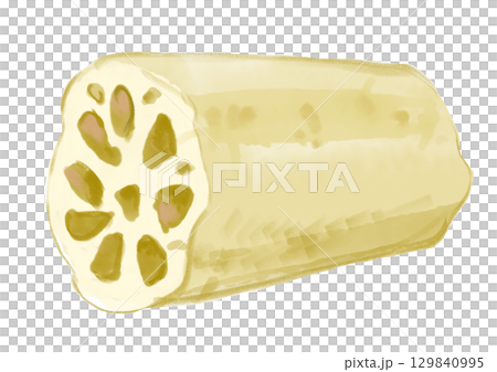 手繪水彩插畫：新鮮採摘的美味蓮藕 129840995