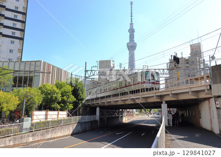東京スカイツリーと東武亀戸線10050系電車 129841027