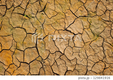 Cracked earth texture showing drought and climate change effects Cracked earth texture showing drought and climate change effects 129841916