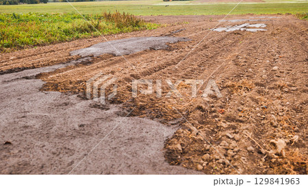 Cow manure in the field. Natural fertilizer. Cow manure in the field. Natural fertilizer. 129841963