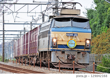 高崎線　本庄－岡部　JR貨物　EF66-33（吹田）　第23回JR貨物フェスティバル 129842168