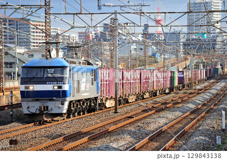 東海道本線　相模貨物　JR貨物　EF210-137（岡山） 129843138