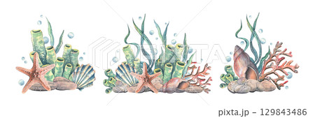Nautical clip art set with starfishes, shells, corals and marine plants in pastel colors, hand-painted watercolor illustration for cards, invitations, scrapbooking and coastal decorations. 129843486