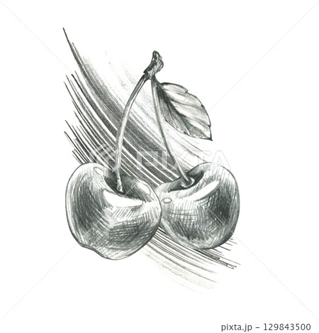 Dynamic sketch of two cherries with leaf in monochrome style, hand drawn line art illustration in grey graphite pencil, ideal for food branding, fruit decor, kitchen textiles and packaging. 129843500