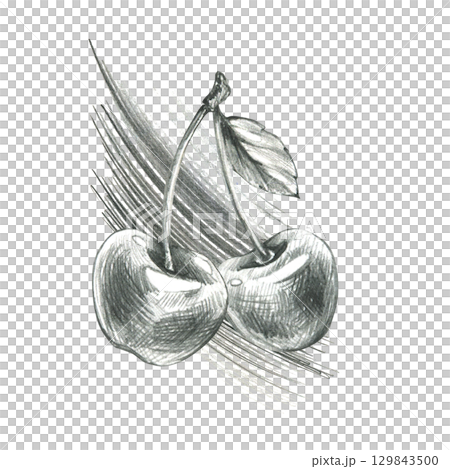 Dynamic sketch of two cherries with leaf in monochrome style, hand drawn line art illustration in grey graphite pencil, ideal for food branding, fruit decor, kitchen textiles and packaging. 129843500