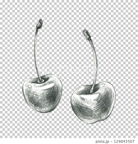 Two cherries with stems in detailed realistic drawing, hand drawn line art illustration in grey graphite pencil, perfect clip art for culinary design, packaging, and kitchen themed artwork. Two cherries with stems in detailed realistic drawing, hand drawn line art illustration in grey graphite pencil, perfect clip art for culinary design, packaging, and kitchen themed artwork. 129843507
