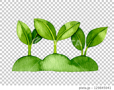 Plant sprouts, cute watercolor drawing. illustration for kids, cartoon Plant sprouts, cute watercolor drawing. illustration for kids, cartoon 129845041