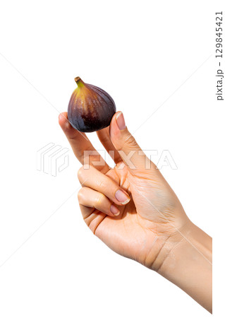 Hand holding fresh purple fig, ripe fruit isolated on transparent background 129845421