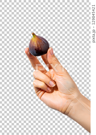 Hand holding fresh purple fig, ripe fruit isolated on transparent background 129845421