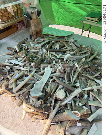 Displaying a variety of deer antlers for sale at an outdoor market, alongside a charming dog figurine and treats, creating a rustic and appealing scene for pet owners 129846171