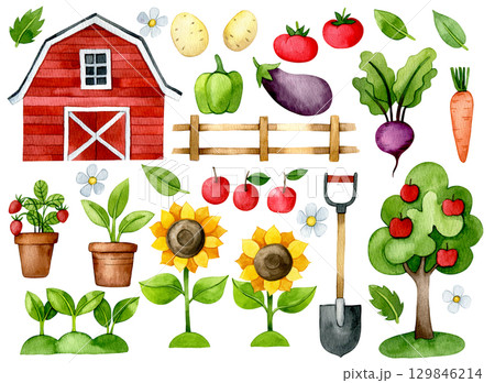 farm elements set. watercolor drawing barn, vegetables, sunflowers, plants. illustration for children, cartoon 129846214
