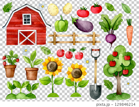 farm elements set. watercolor drawing barn, vegetables, sunflowers, plants. illustration for children, cartoon 129846214