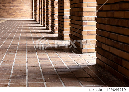規則正しく並ぶ柱と光と影 129846919