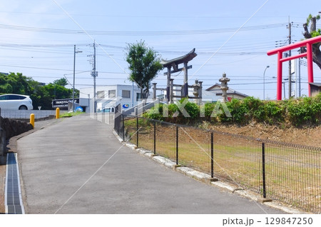 千葉県柏市泉蔵寺周辺2025年8月 千葉県柏市泉蔵寺周辺2025年8月 129847250