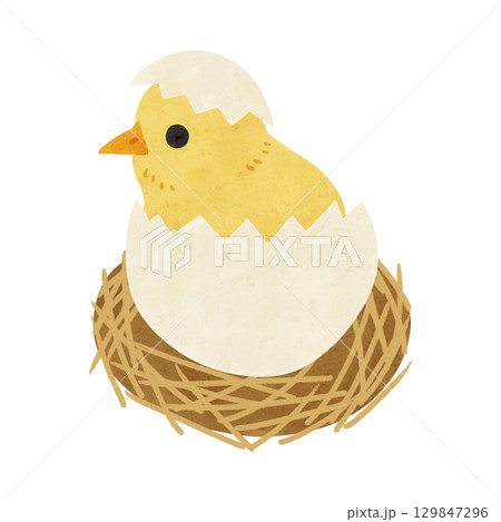 卵の殻つきのひよこ 水彩風手描きイラストのイラスト素材 [129847296