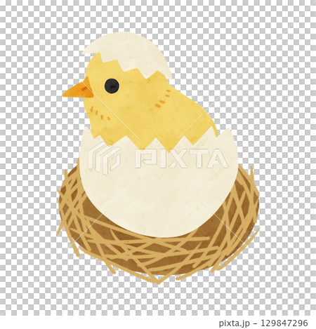 卵の殻つきのひよこ 水彩風手描きイラストのイラスト素材 [129847296
