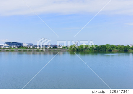 埼玉県越谷市大相模調節池2025年8月 129847344