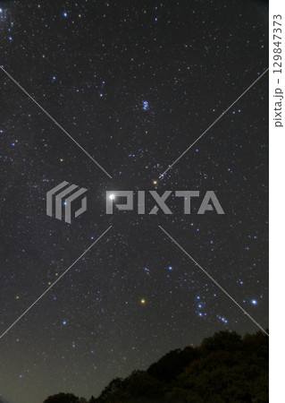 冬の星空　昇るオリオン座とおうし座 129847373