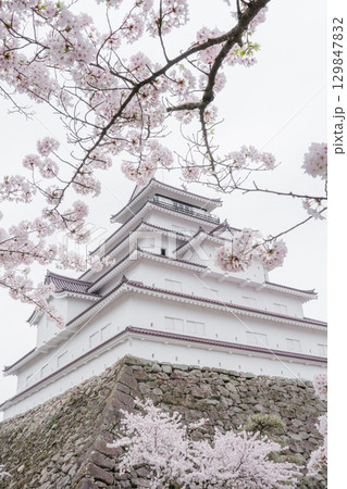 鶴ヶ城と満開の桜 福島県会津若松市 129847832