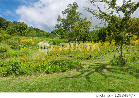 中之条花楽の里 群馬県 中之条花楽の里 群馬県 129849477