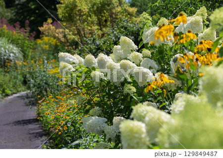 中之条花楽の里　群馬県 129849487