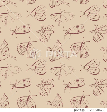 Hand drawn moths seamless pattern with minimal line art for stationery fabric wrapping paper and home decor Vector illustration 129850672