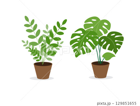 Decorative potted indoor flowers_vector illustration_stock illustration Decorative potted indoor flowers_vector illustration_stock illustration 129851655