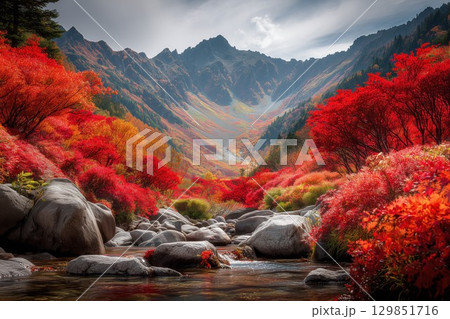 日本の秋の絶景・鮮やかな紅葉 日本の秋の絶景・鮮やかな紅葉 129851716