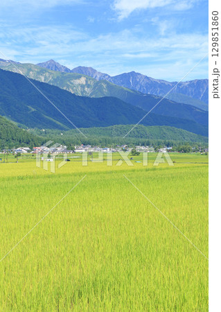 白馬の夏 山麓から望む北アルプス 白馬の夏 山麓から望む北アルプス 129851860