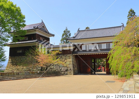 東虎口櫓門(上田城跡・上田市) 東虎口櫓門(上田城跡・上田市) 129851911