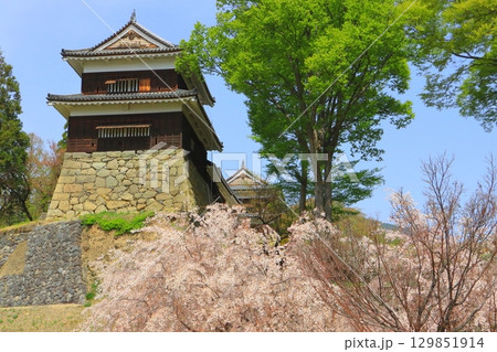 春の南櫓・東虎口櫓門・北櫓(上田城跡・上田市) 春の南櫓・東虎口櫓門・北櫓(上田城跡・上田市) 129851914